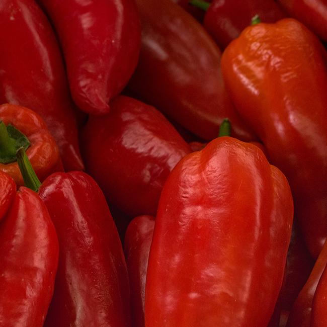 Marconi Italian Pepper Seeds