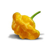 Jamaican Yellow Mushroom Pepper Seeds