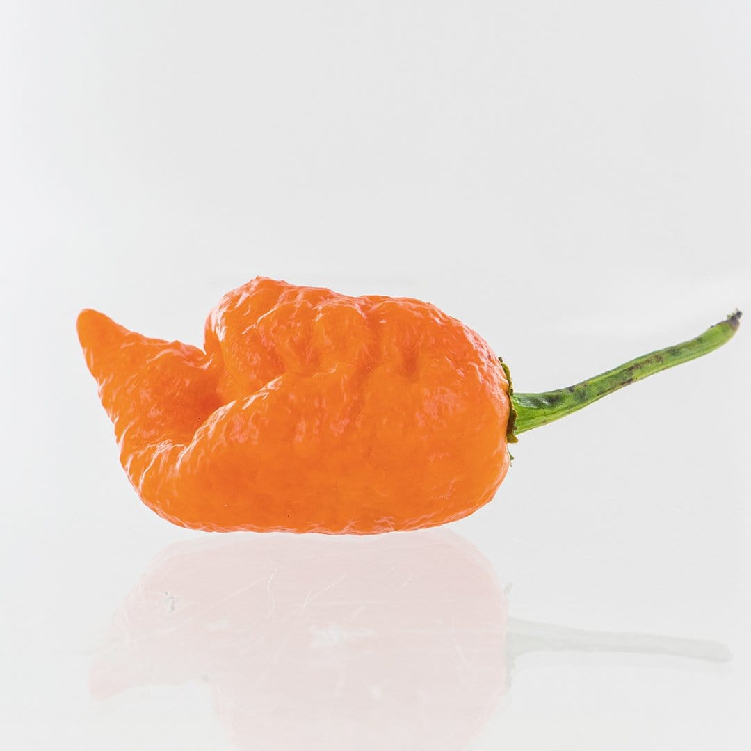 Peach Mutant X Pepper Seeds – The Pepper Pantry (Formerly Marie Sharp's)