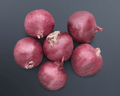 Red Mountain Hybrid Onion Seeds