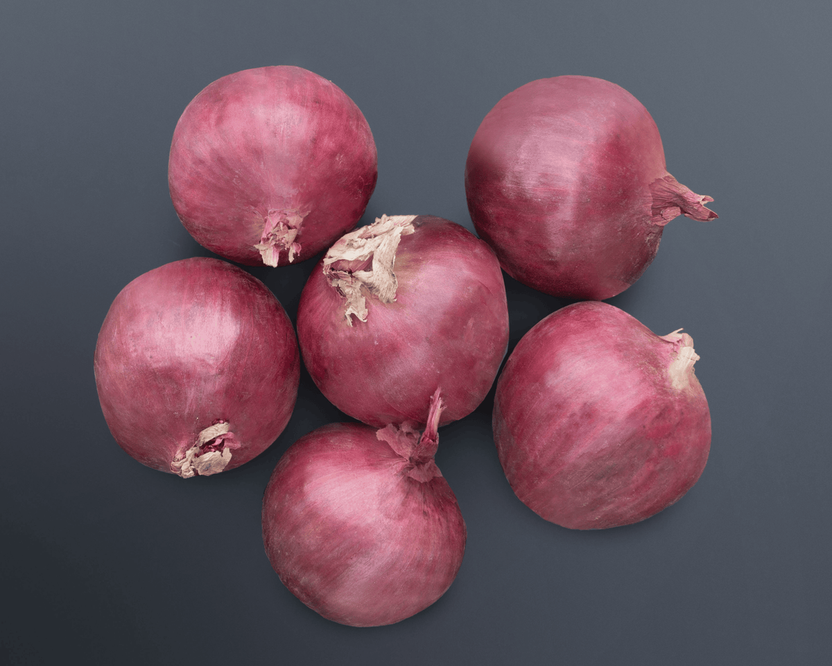 Red Mountain Hybrid Onion Seeds