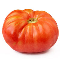 Thumbnail for Napa Giant Tomato Seeds