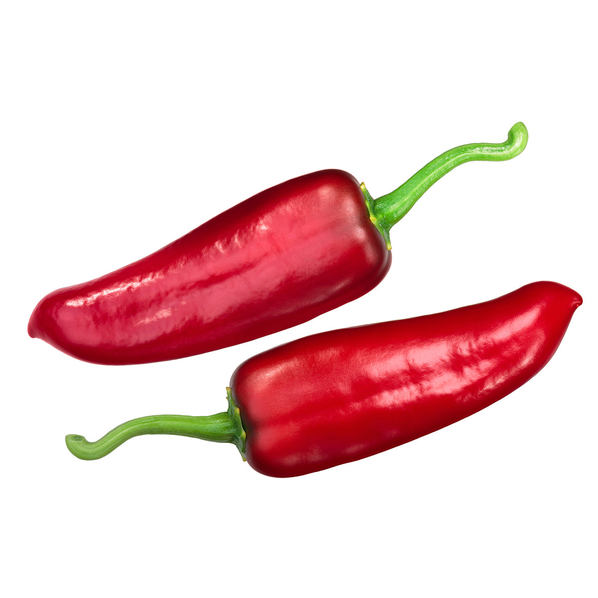 NuMex Joe E Parker Pepper Seeds