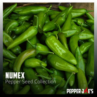 Thumbnail for NuMex Pepper Seed Collection