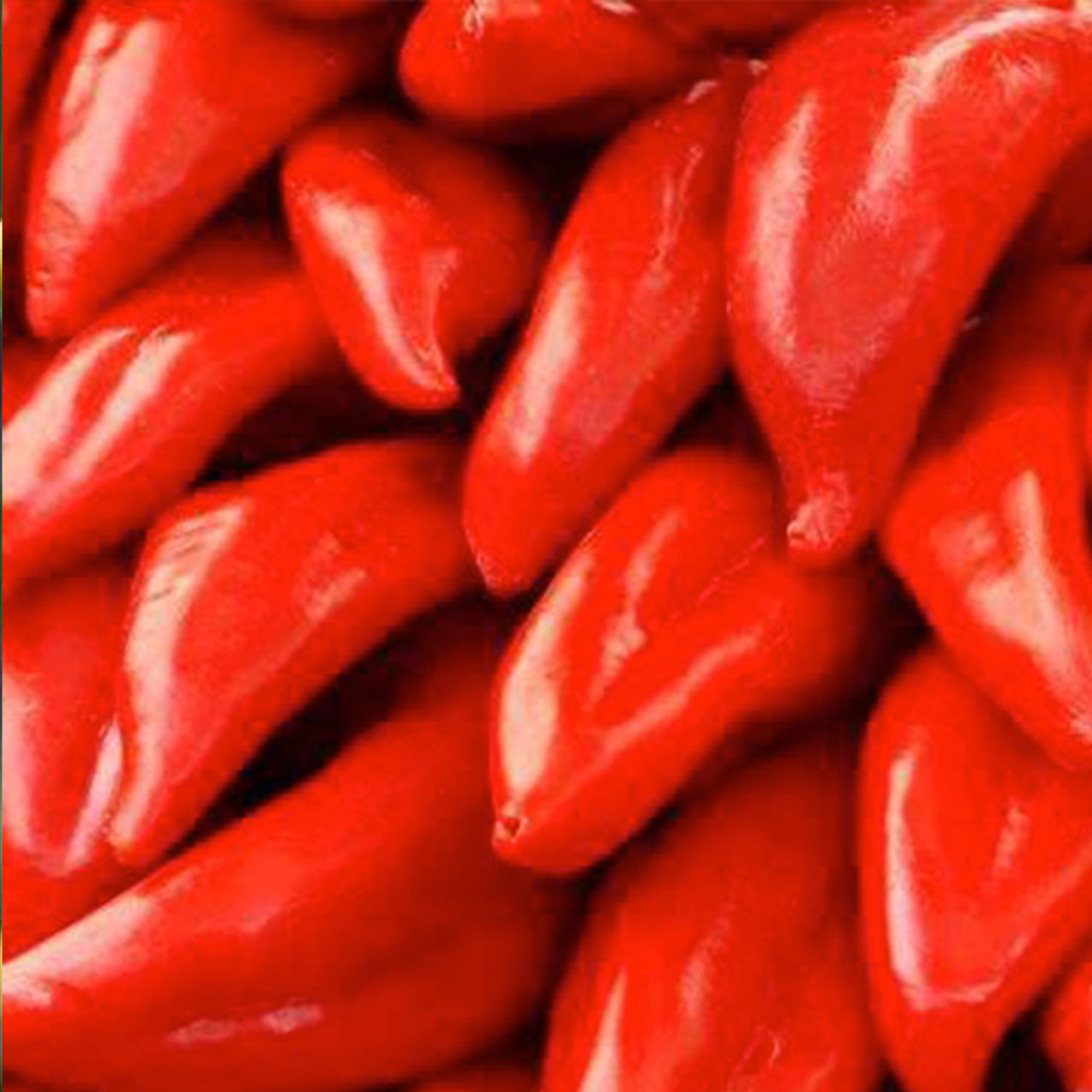 NuMex College Pepper Seeds