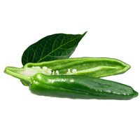 Thumbnail for NuMex 6-4 Pepper Seeds