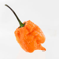 Thumbnail for Orange Carolina Reaper Pepper Seeds