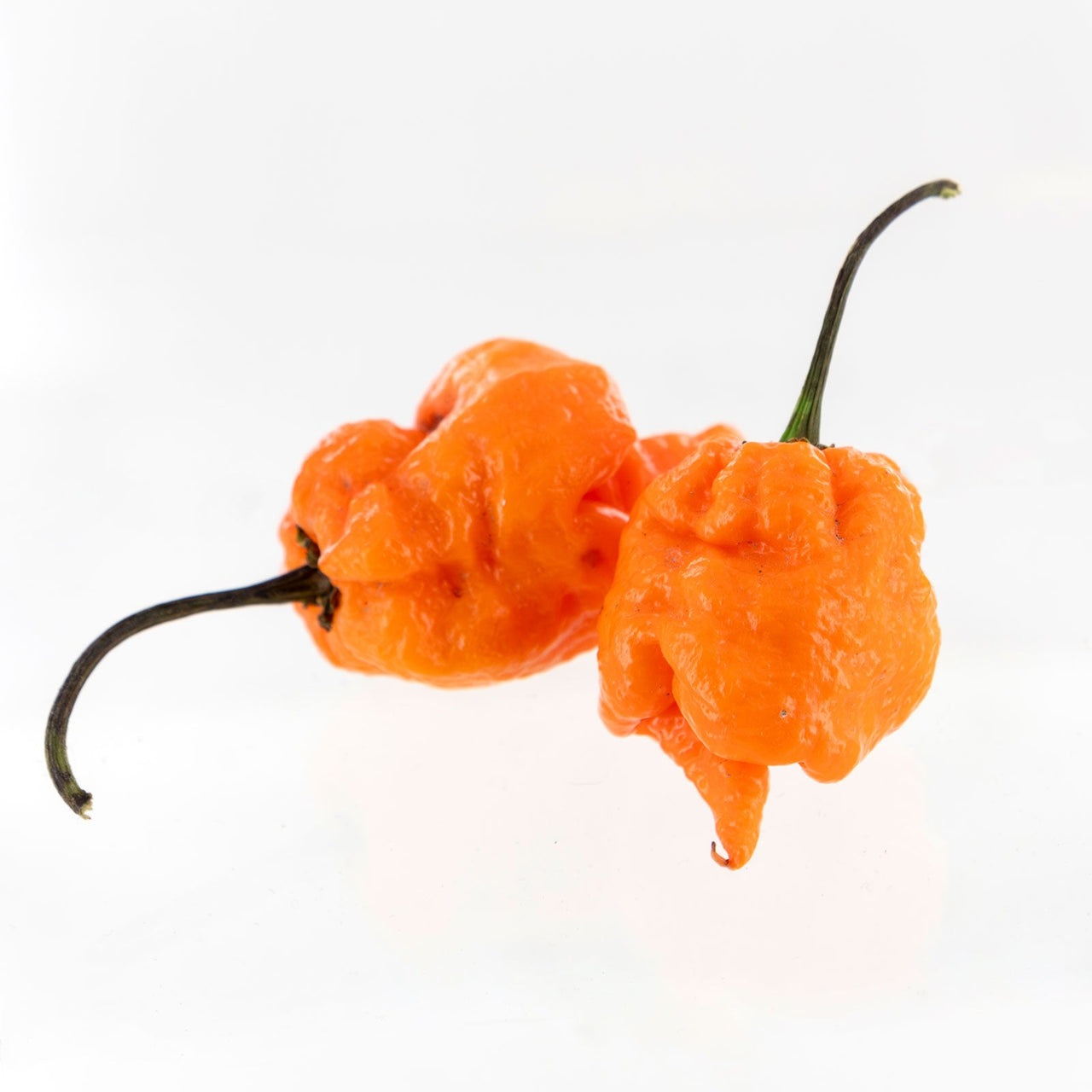 Orange Carolina Reaper Pepper Seeds