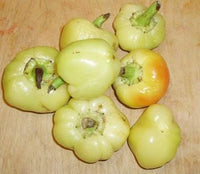 Thumbnail for Apple Hungarian Pepper Seeds