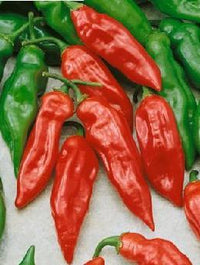 Thumbnail for Habanero Mayan Red Pepper Seeds