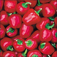 Thumbnail for Baby Red Pepper Seeds