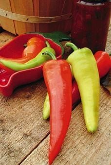 Dante's Hot Pepper Seeds