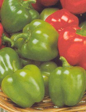 Jingle Bell Pepper Seeds