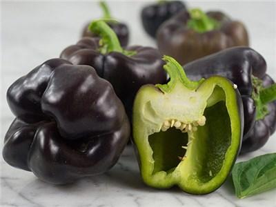 Midnight Dream Pepper Seeds