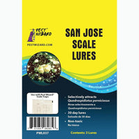 Pest Wizard San Jose Scale Lure 3-Pack
