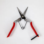 Thinning Shears