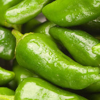 Thumbnail for Padron Pepper Seeds