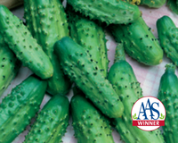 Parisian Hybrid Cucumber Seeds