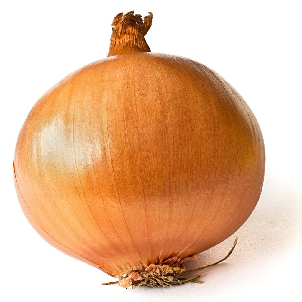 Patterson Onion Seeds