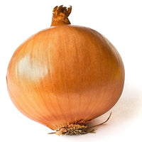 Thumbnail for Patterson Onion Seeds