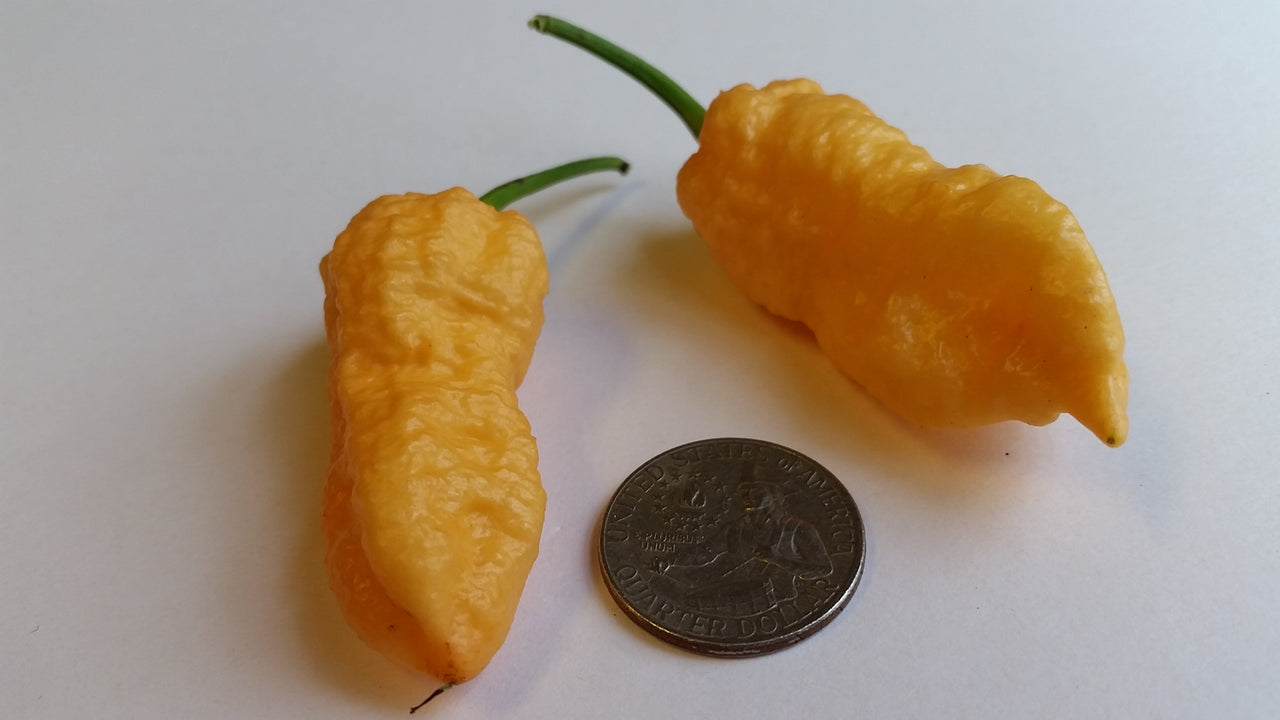 Peach Bhut Jolokia Ghost - Seeds