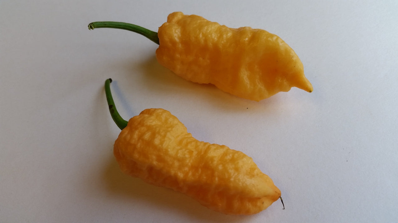 Peach Bhut Jolokia Ghost - Seeds