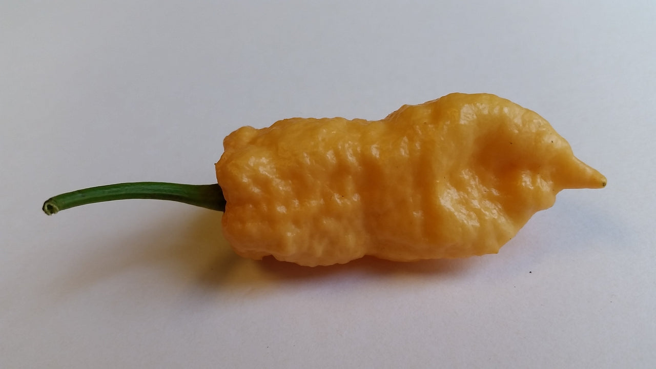 Peach Bhut Jolokia Ghost - Seeds