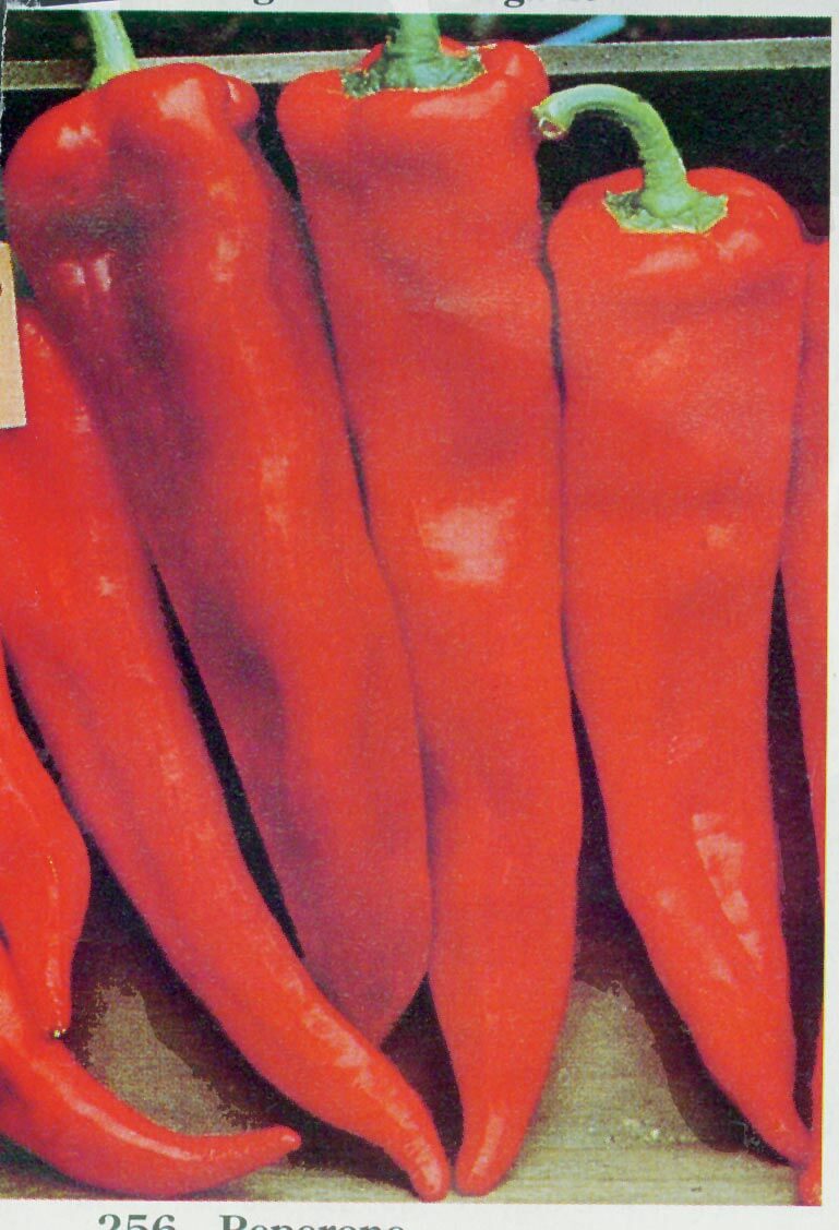 Corno di Toro Red Pepper Seeds