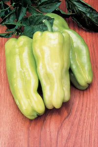 Cubanelle Pepper Seeds