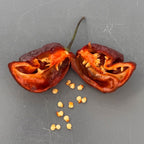 Trinidad Scorpion Chocolate Cappuccino Pepper Seeds