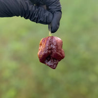 Trinidad Scorpion Chocolate Cappuccino Pepper Seeds