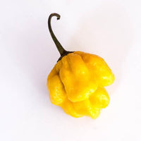 Yellow Reaper Pepper Seeds