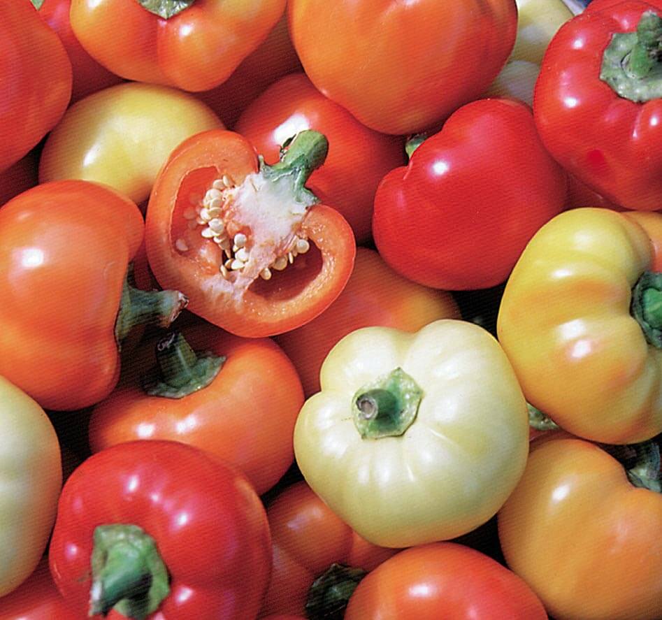 Alma Paprika Pepper Seeds