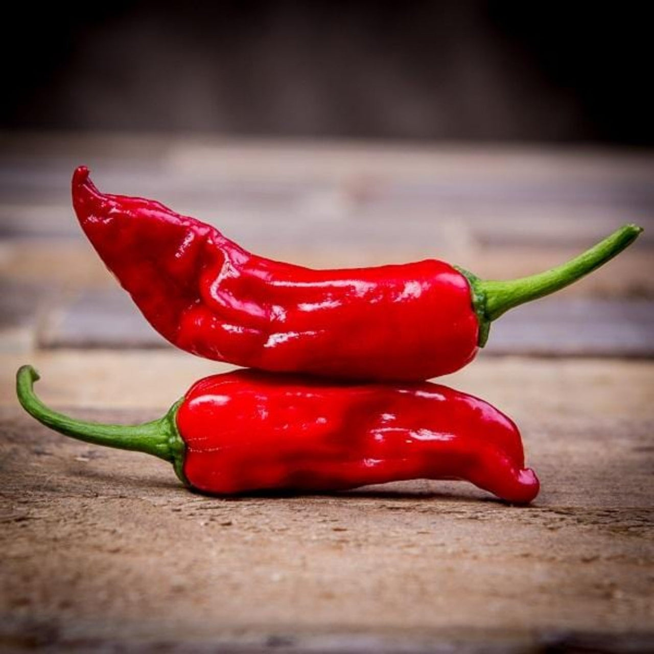 Peperonis Piments Italian Pepperoncini Seeds – The Pepper Pantry