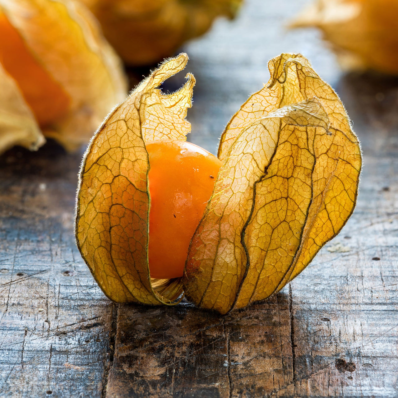 Pineapple Tomatillo Seeds