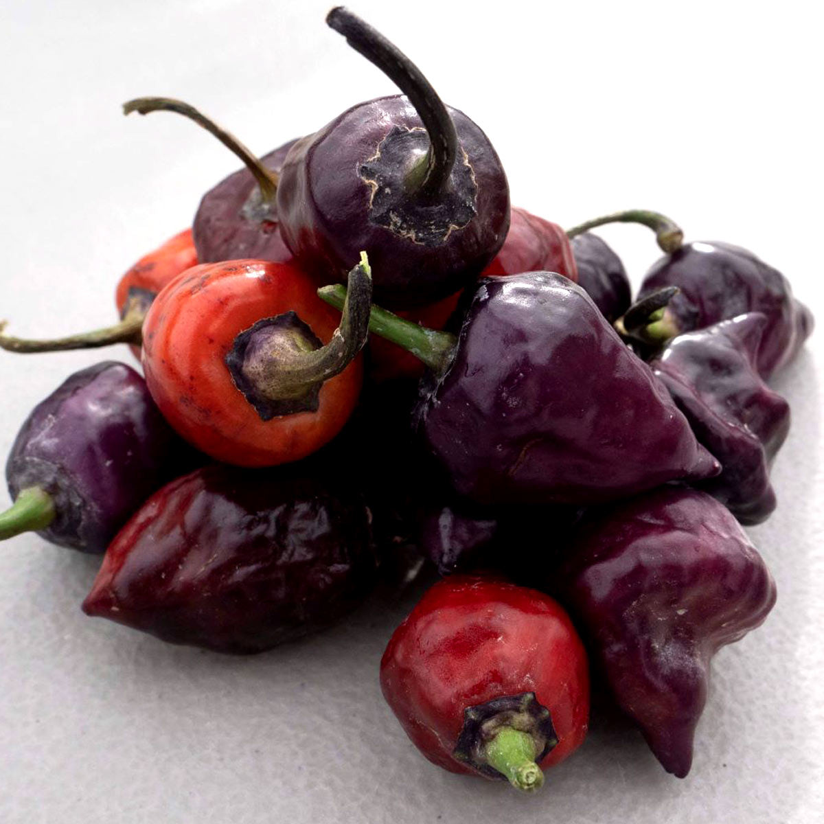 Purple UFO Pepper Seeds