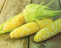 Temptation (bicolor se) Hybrid Sweet Corn Seeds