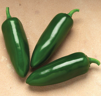 Jalafuego Hybrid Pepper Seeds