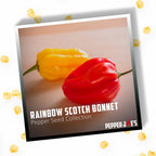 Rainbow Scotch Bonnet Pepper Seed Collection