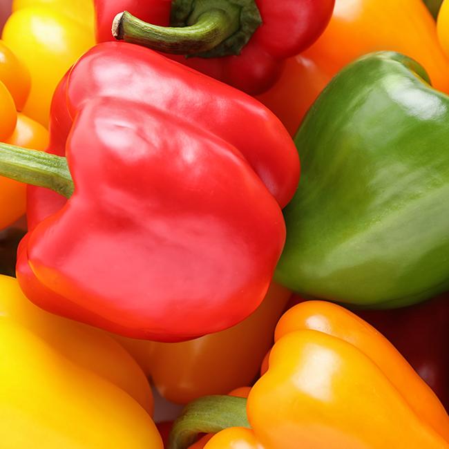 Rainbow Sweet Bell Pepper Seeds Mix