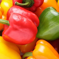 Thumbnail for Rainbow Sweet Bell Pepper Seeds Mix