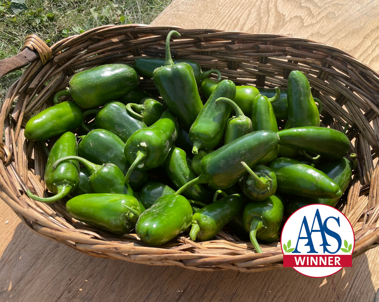 San Joaquin Hybrid Pepper Seeds
