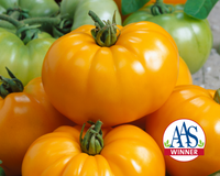 Chef's™ Choice Yellow Hybrid Tomato Seeds