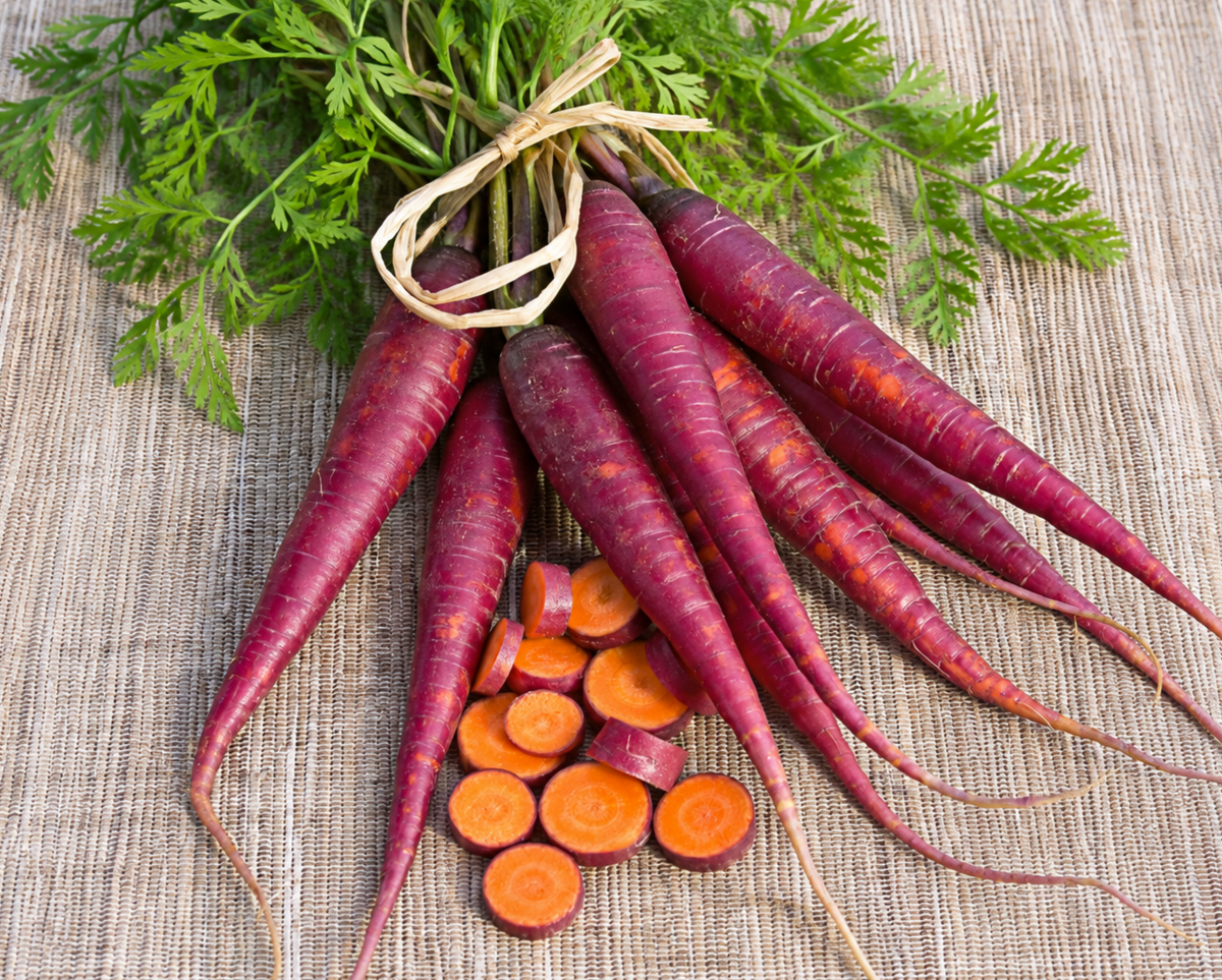 Cosmic Purple Carrot Seeds