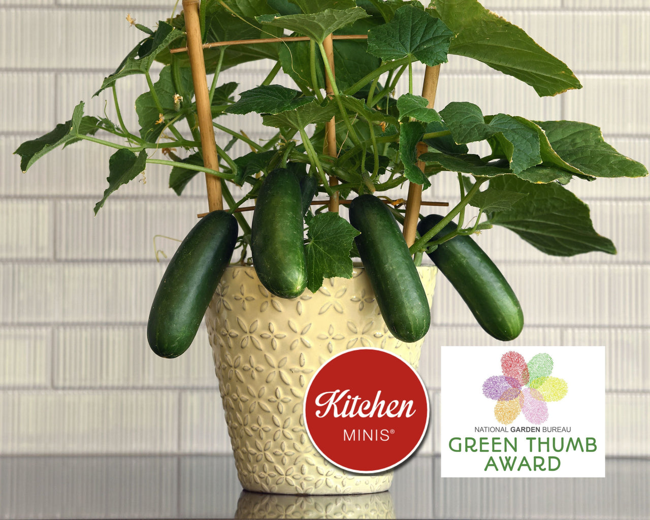 Quick Snack Hybrid Cucumber Seeds | Kitchen Minis