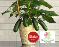 Quick Snack Hybrid Cucumber Seeds | Kitchen Minis