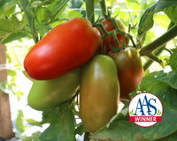 Zenzei Hybrid Tomato Seeds