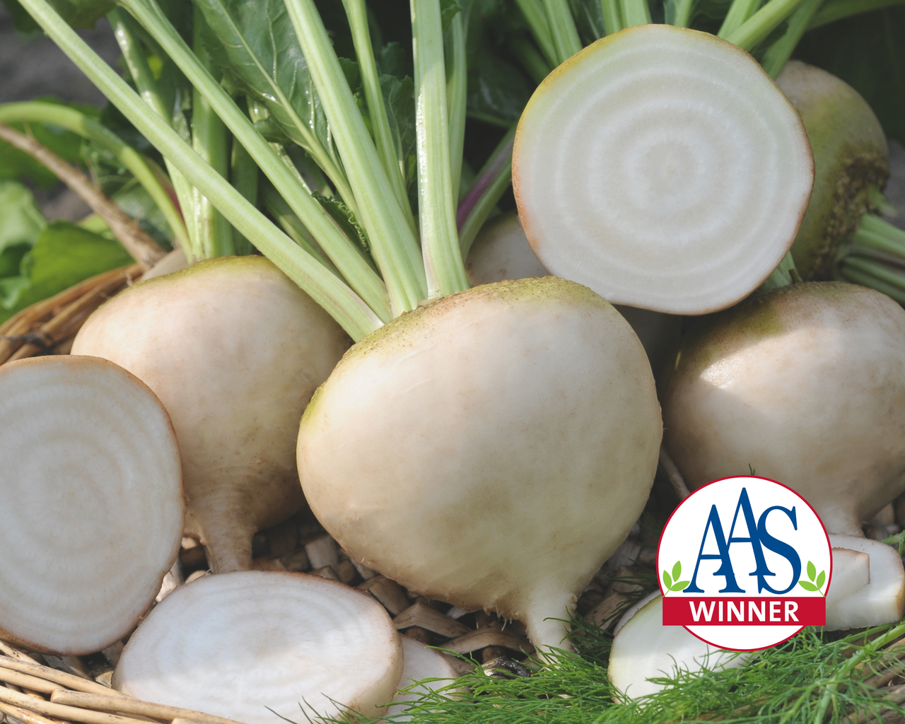 Avalanche Beet Seeds