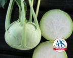 Konan Hybrid Kohlrabi Seeds