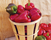 Alliance Hybrid Bell Pepper Seeds